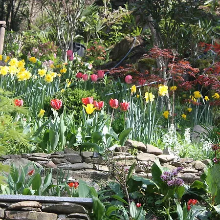 Bed & Breakfast Antico Sempione Cannobio