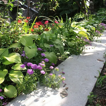 Bed & Breakfast Antico Sempione *